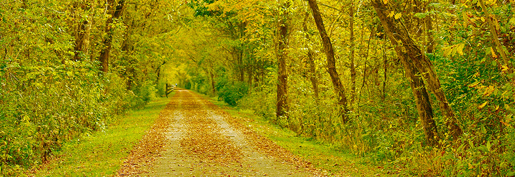 Bike Path