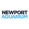 Newport Logo